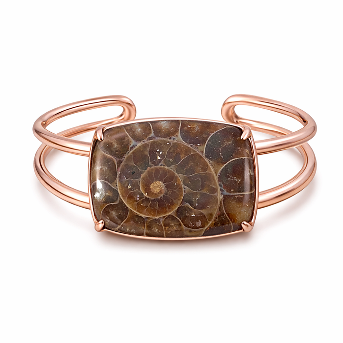 Ammonite fossil rounded rectangle cut cabochon - Buy loose or customise