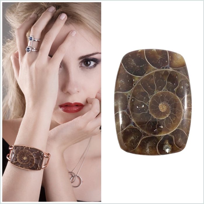 Ammonite fossil rounded rectangle cut cabochon - Buy loose or customise