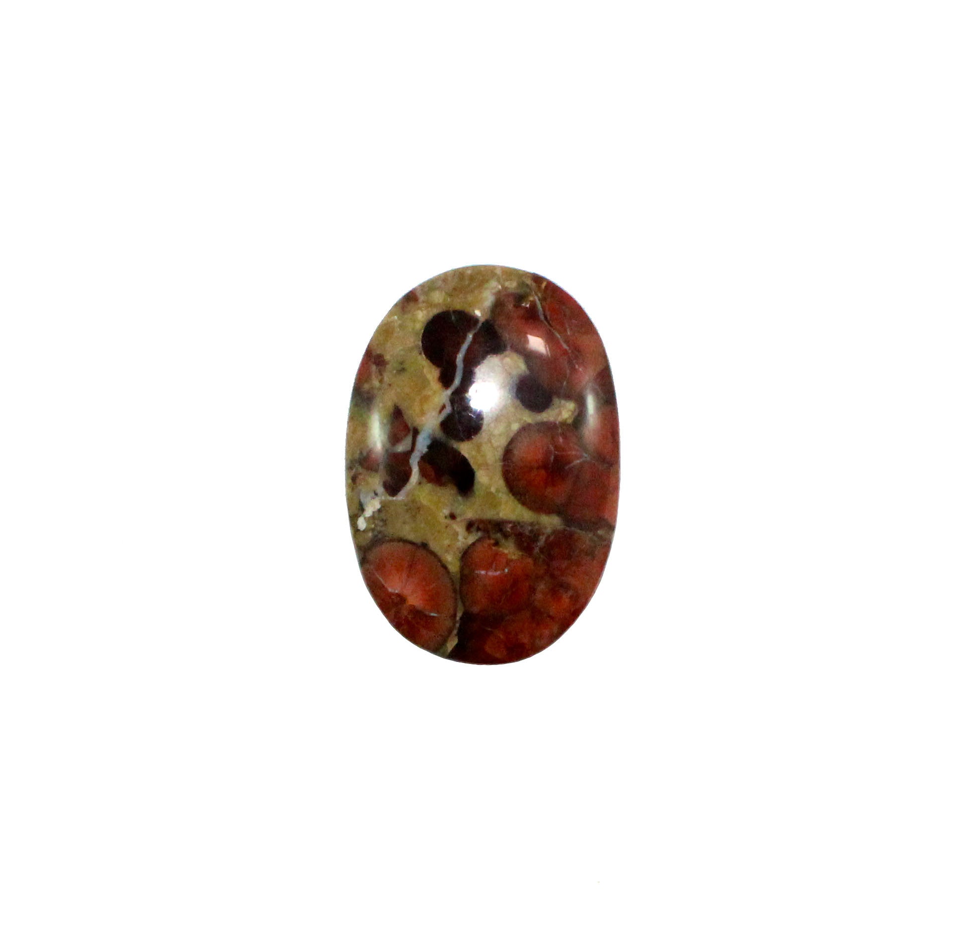 Peanut Rock 36x25mm oval cut cabochon - Make your own custom jewelry - Sarah Hughes - 3